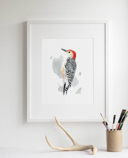 Red-bellied Woodpecker Print Watercolor Bird Painting: 8x10 (11x14 mat)