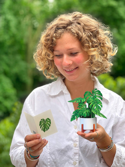 Mini Monstera Plant Pop-up Greeting Card