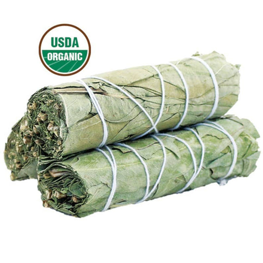 (Good Medicine) Eucalyptus Sage - 4 in. Stick