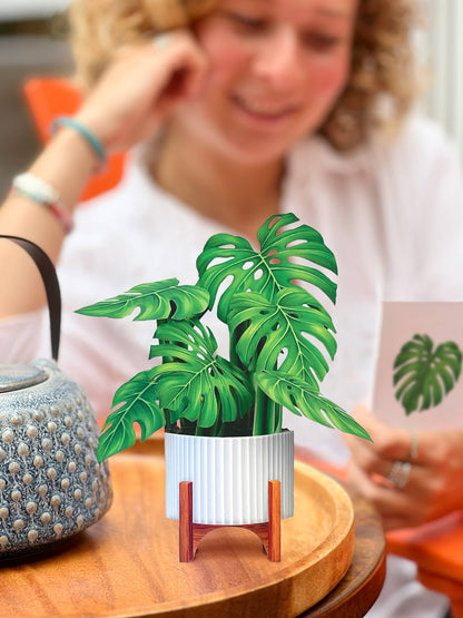 Mini Monstera Plant Pop-up Greeting Card