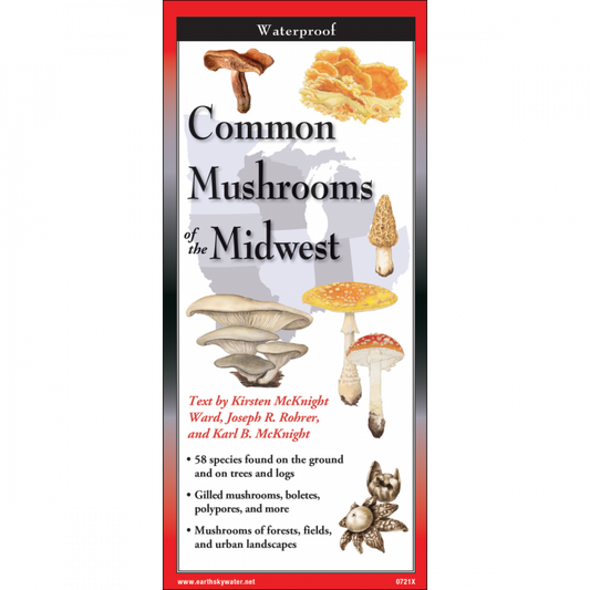 Common Mushrooms of the Midwest