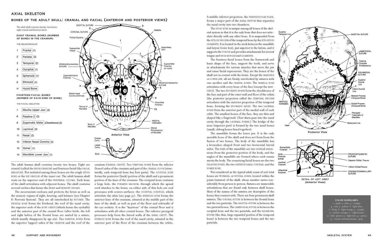 McMurtrie's Human Anatomy Coloring Book