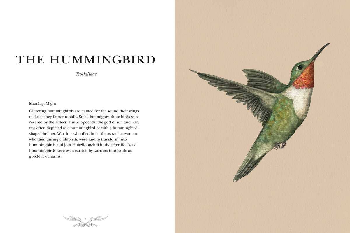 Ornithography by Jessica  Roux: Hardcover; 224 pages / English