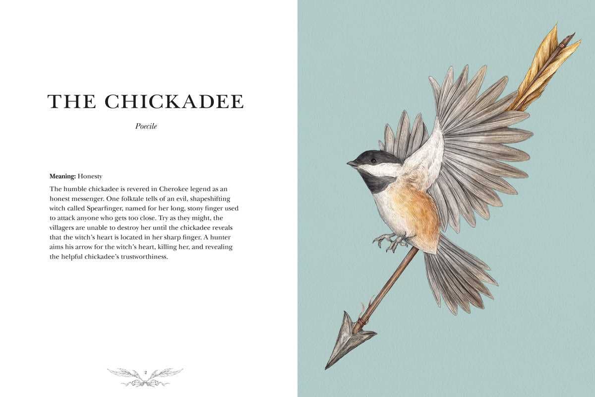 Ornithography by Jessica  Roux: Hardcover; 224 pages / English