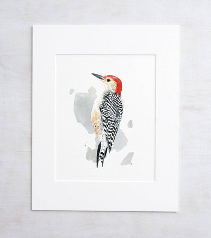 Red-bellied Woodpecker Print Watercolor Bird Painting: 8x10 (11x14 mat)