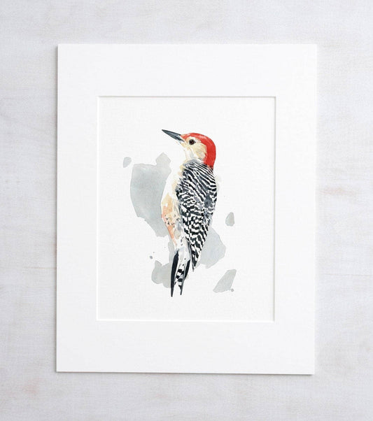 Red-bellied Woodpecker Print Watercolor Bird Painting: 8x10 (11x14 mat)