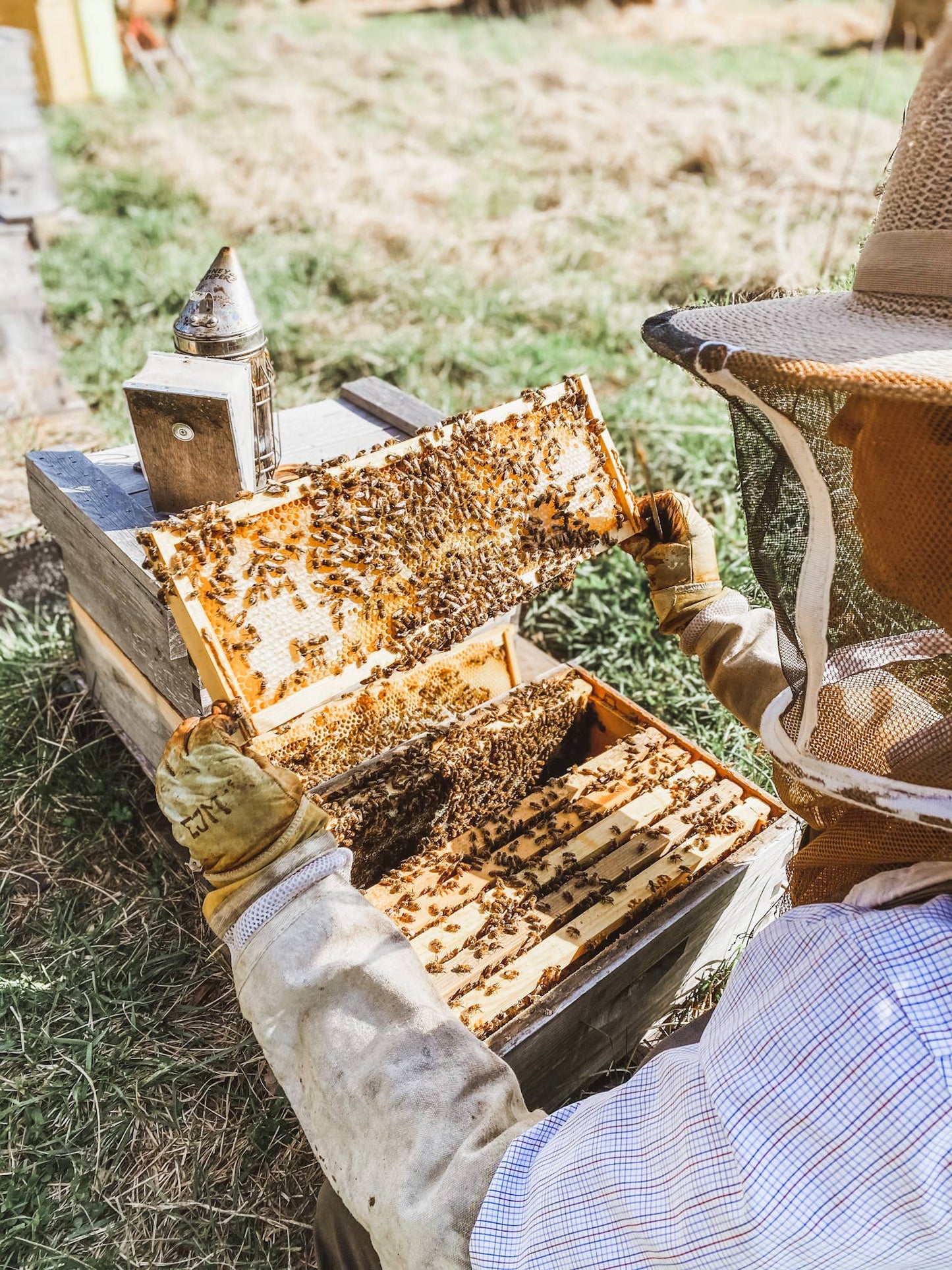 Paw Balm - Treats "Ruff" Paws - Handmade with Beeswax from KC’s Messner Bee Farm