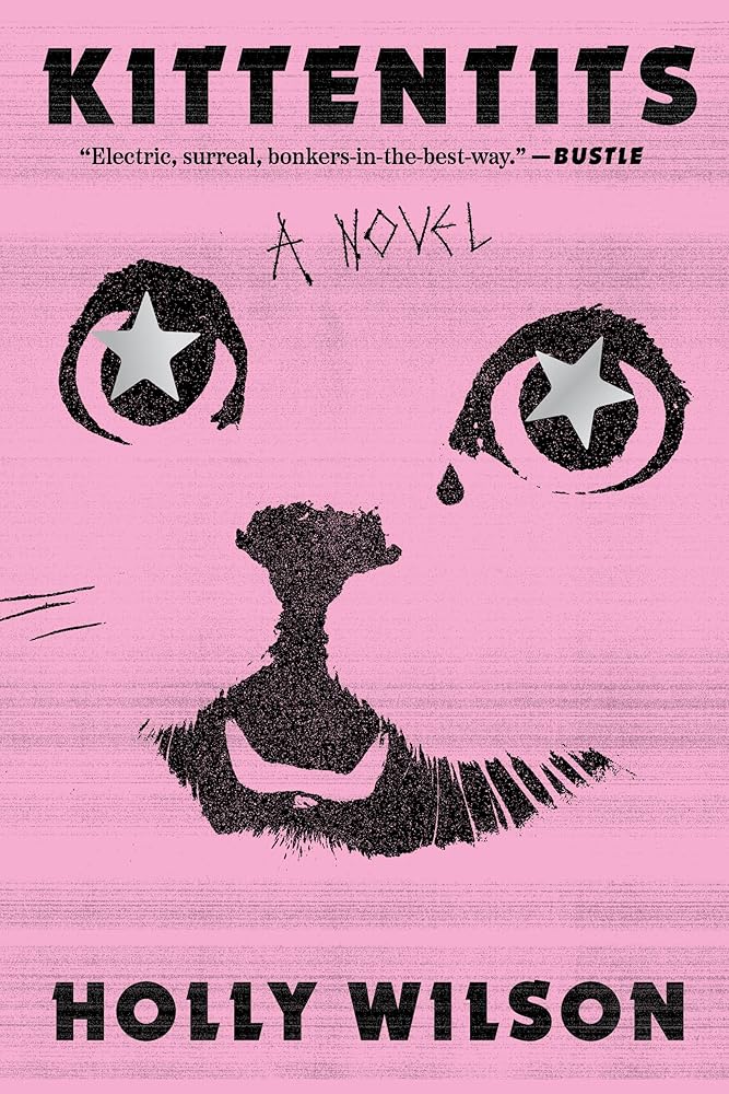 Kittentits: A Novel cover image