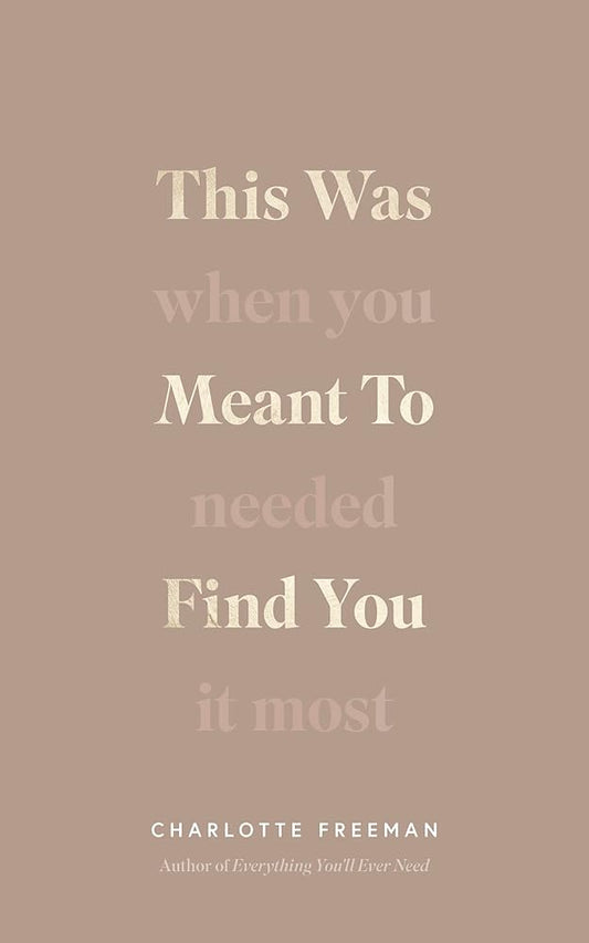This Was Meant to Find You : When You Needed It Most Charlotte Freeman cover image