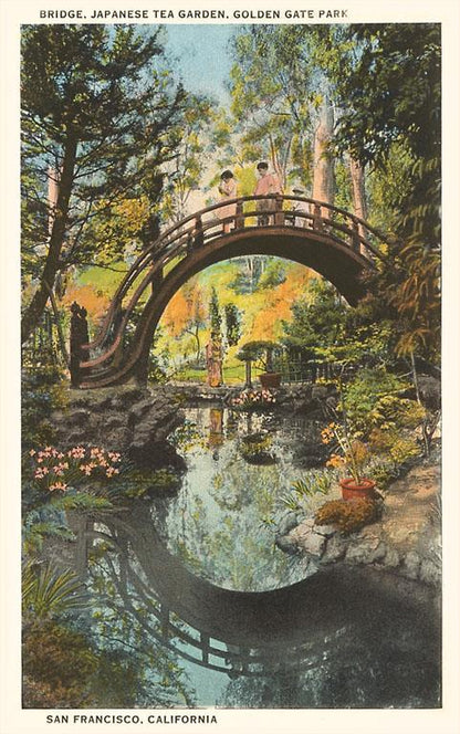Found Image Press - 3.5" x 5.5" Postcards