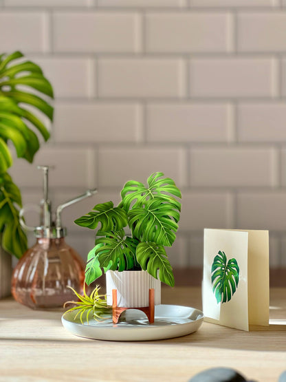 Mini Monstera Plant Pop-up Greeting Card