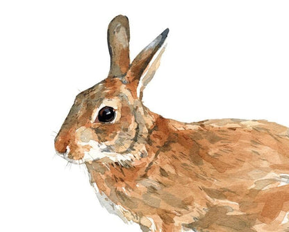 Wild Rabbit Watercolor Print, Nature Wildlife Art: 5x7 (8x10 mat)