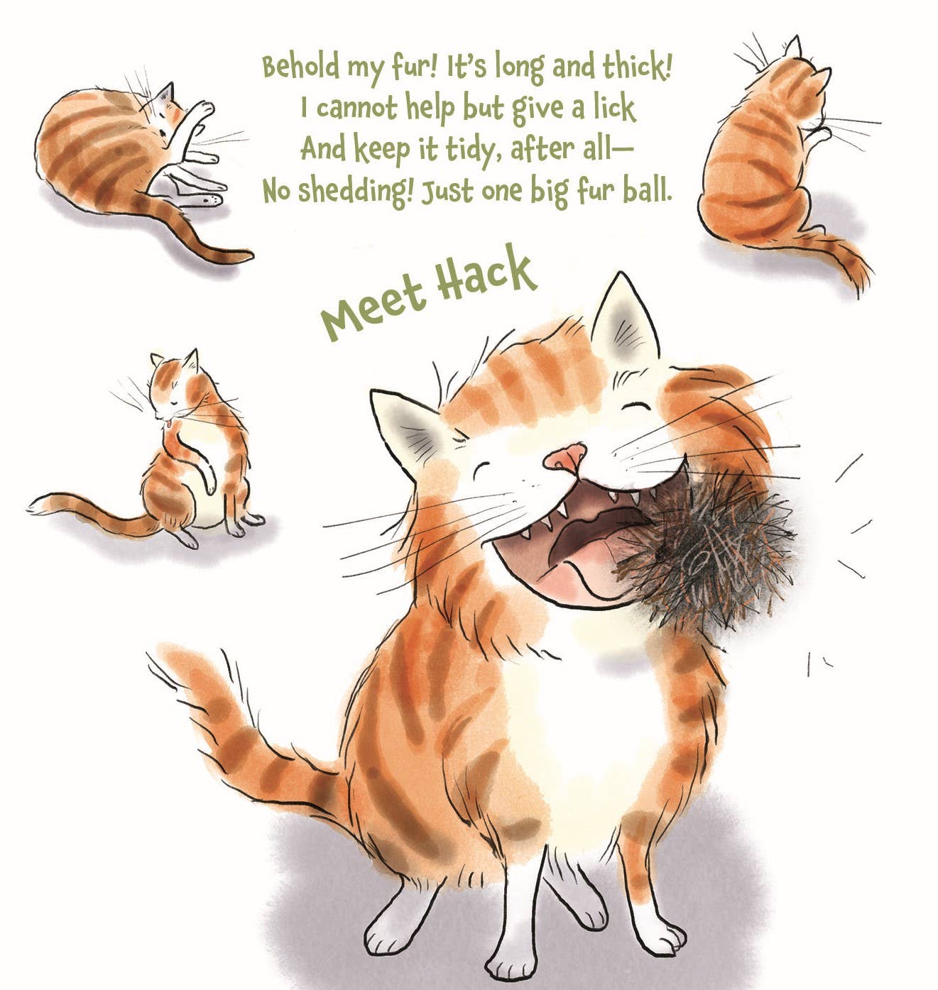 Tails from the Animal Shelter, a picture book