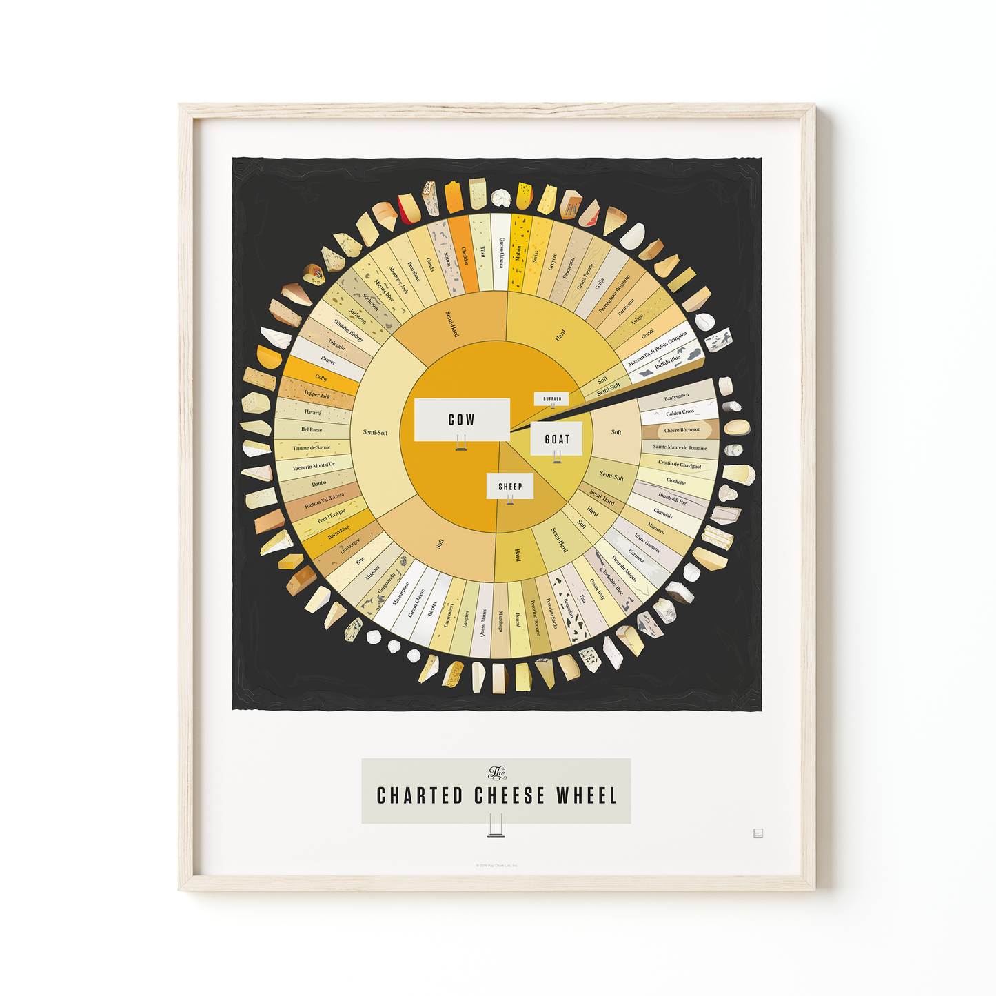 The Charted Cheese Wheel | 16" x 20" print