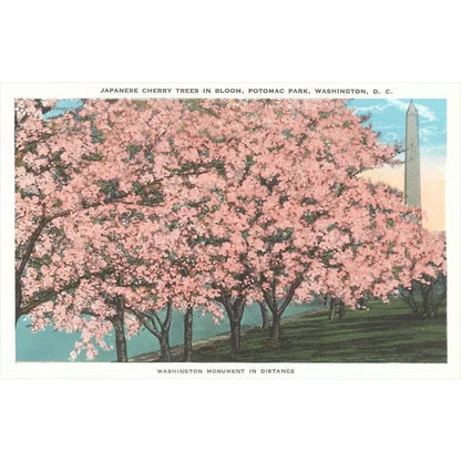 Found Image Press - 3.5" x 5.5" Postcards