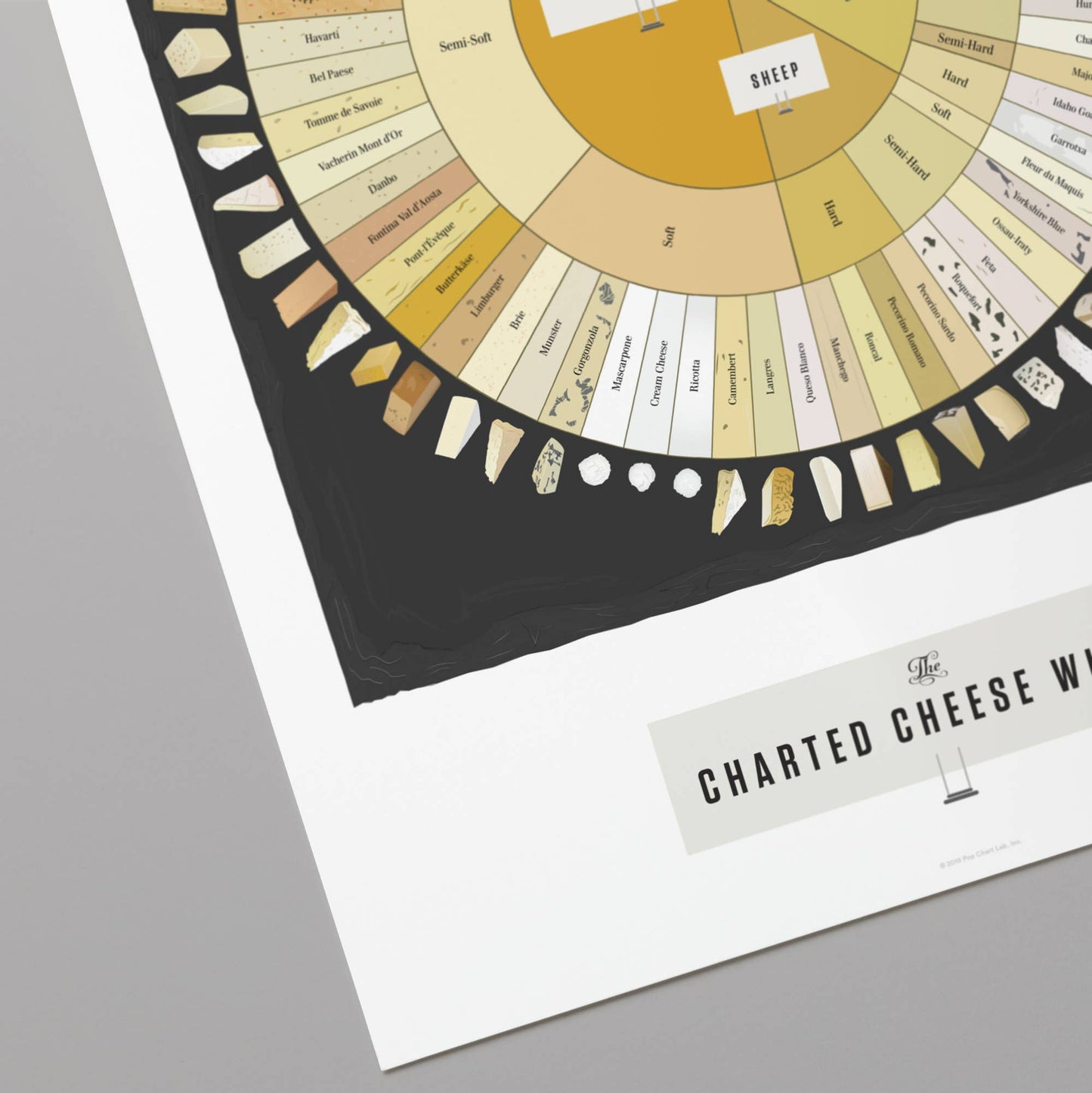 The Charted Cheese Wheel | 16" x 20" print