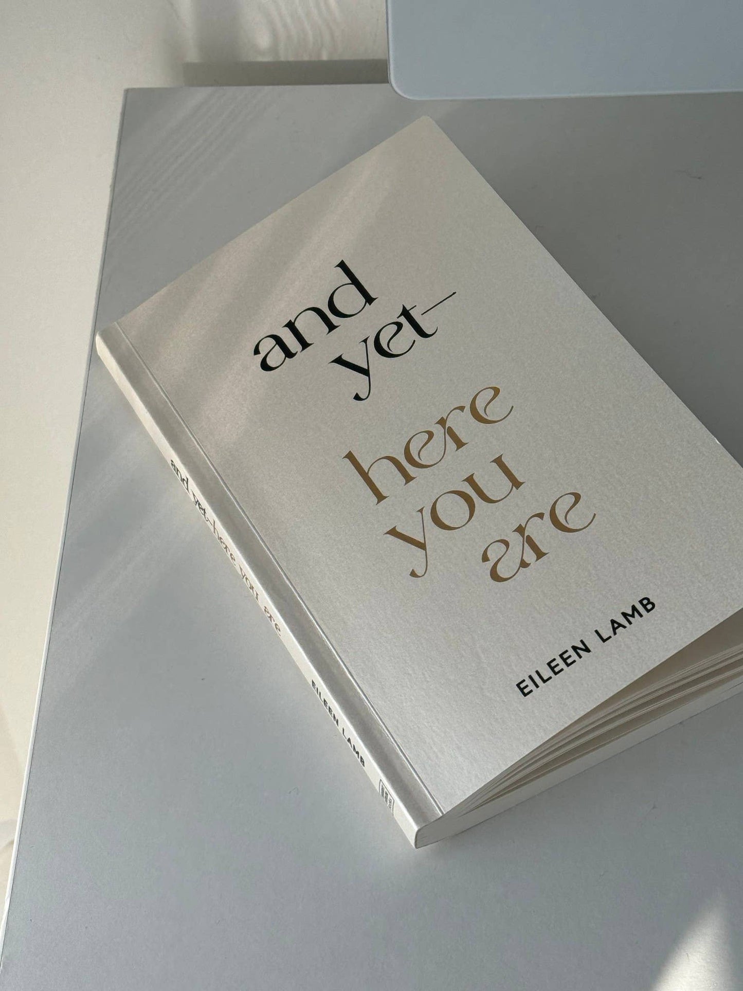 And Yet – Here You Are (book)