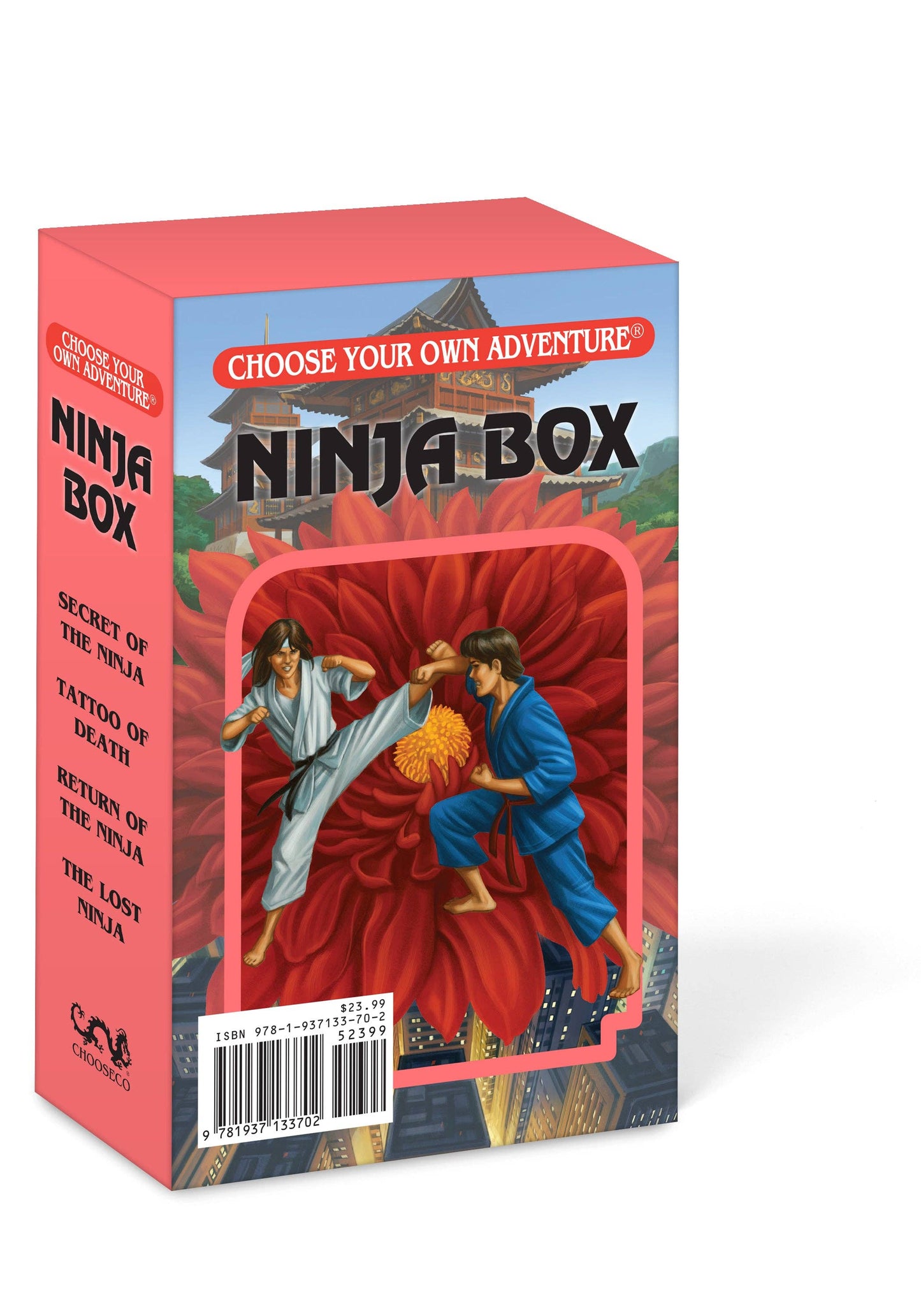 Ninja Box, Children's Book Set  - Choose Your Own Adventure