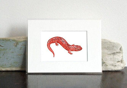 Red Salamander Art Print, Animal Watercolor Painting: 3x5 (5x7 mat)