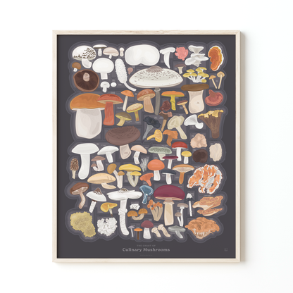 The Chart of Culinary Mushrooms | 16" x 20" Art Print