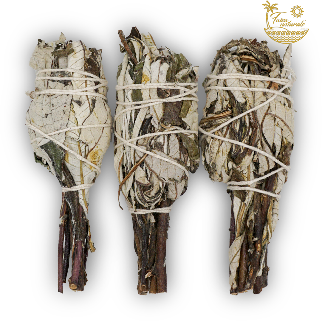(Good Medicine) Yerba Santa Torches