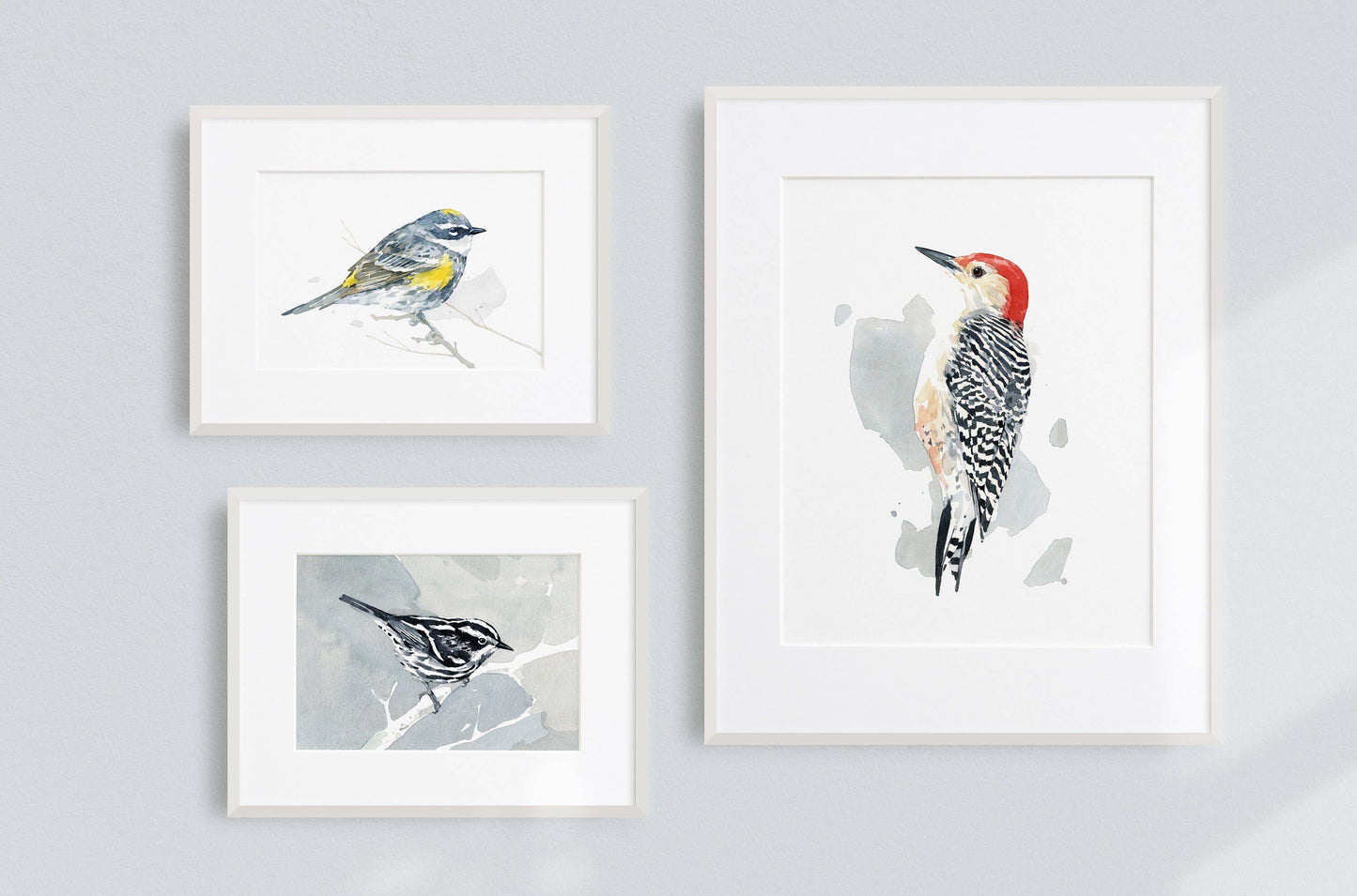 Red-bellied Woodpecker Print Watercolor Bird Painting: 8x10 (11x14 mat)