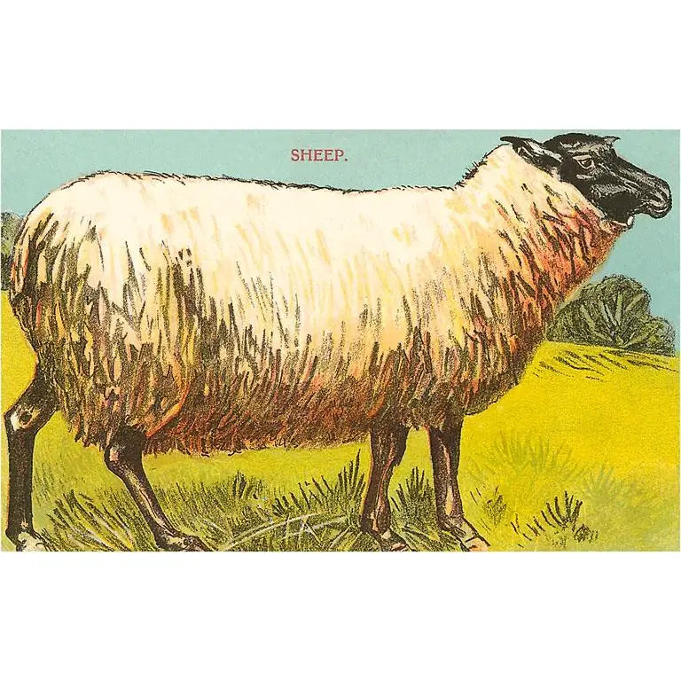 Found Image Press - 3.5" x 5.5" Postcards