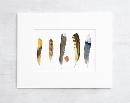 Backyard Bird Feathers Watercolor Print, Feather Art Decor: 5x7 (8x10 mat)