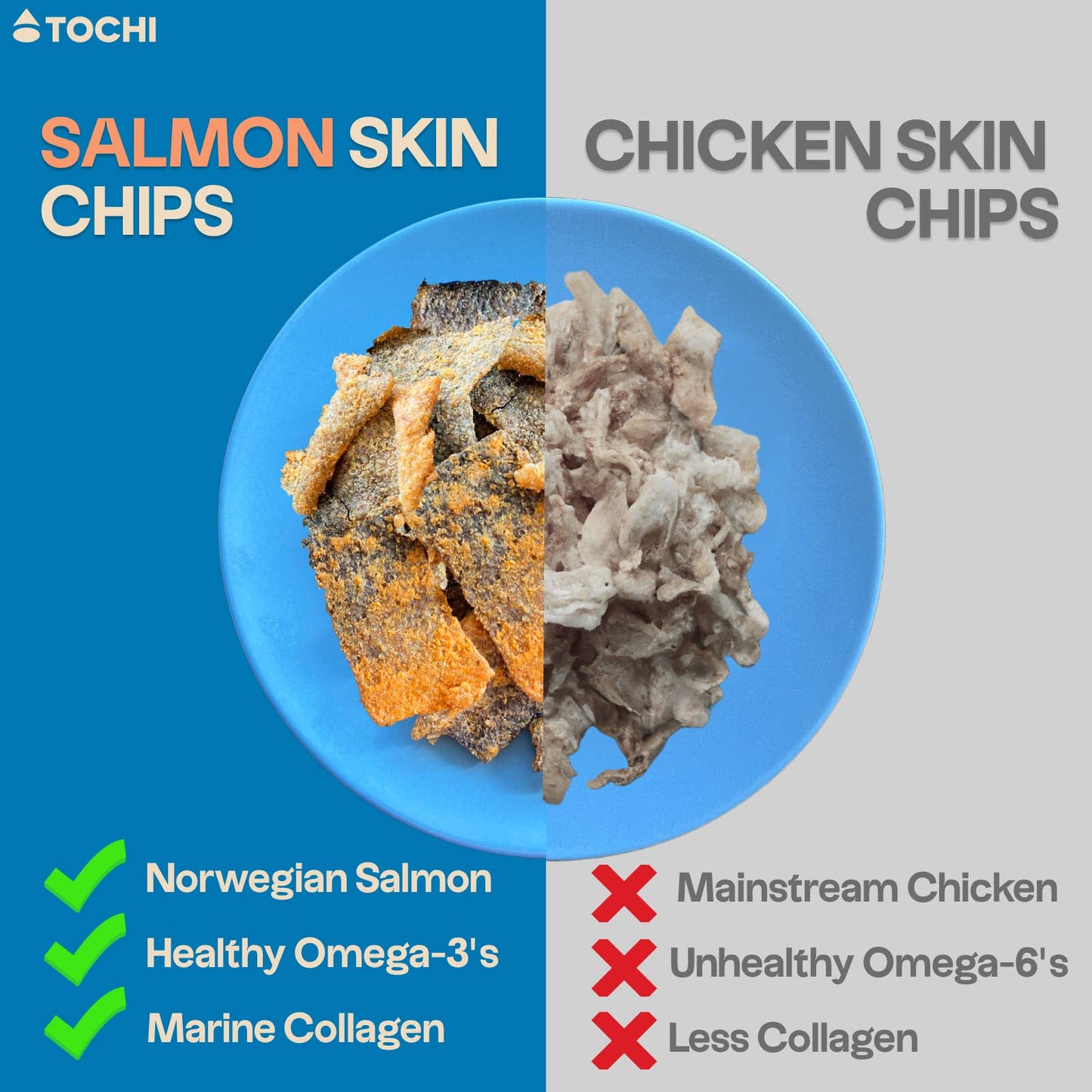 Salmon Chips