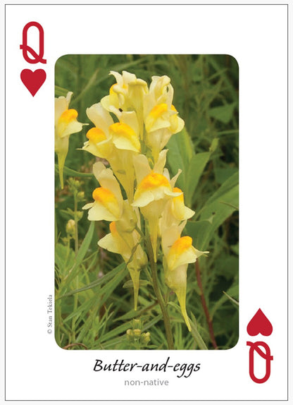 Wildflowers of Midwest Playing Cards