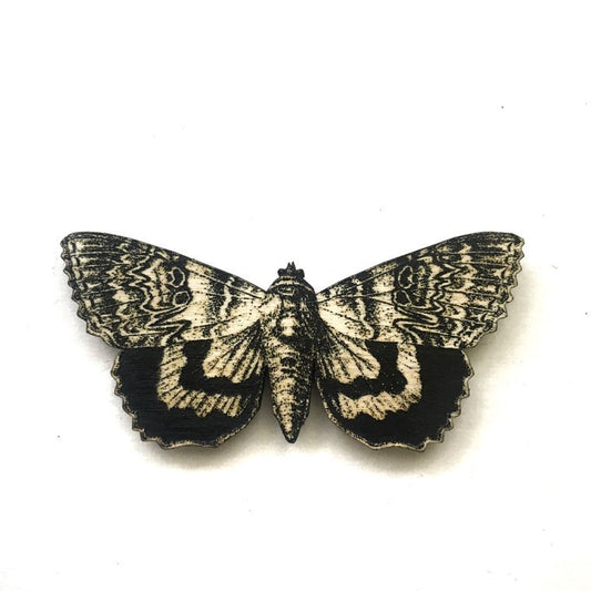 Engraved Butterfly Magnet
