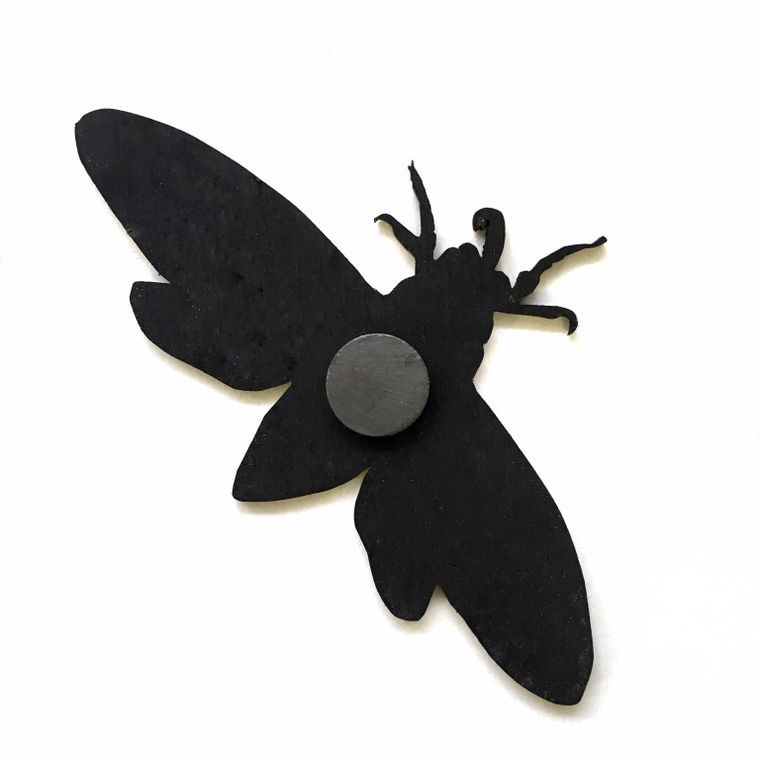 Moth Magnet