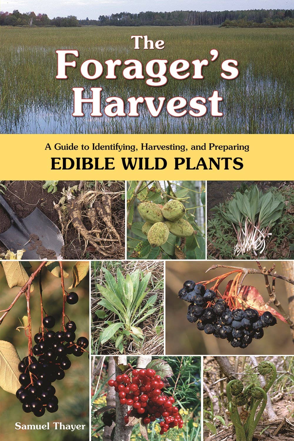 The Foragers Harvest: Guide to Identifying, Harvesting and Preparing Edible Wild Plans - Samuel Thayer