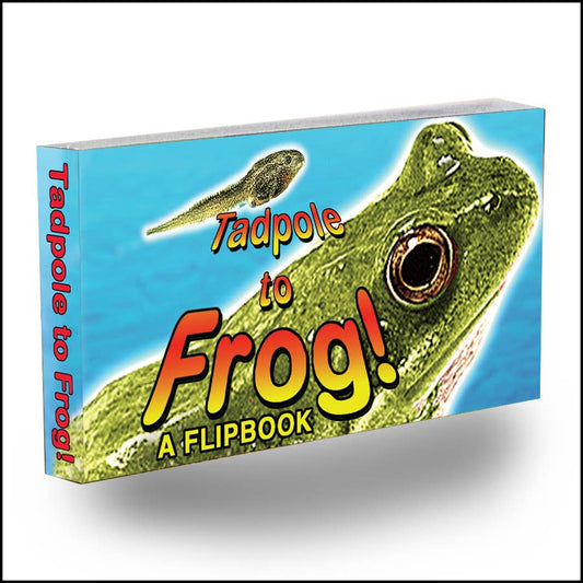 Tadpole to Frog Flipbook