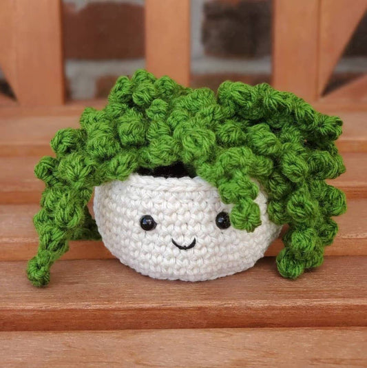 Crochet Succulent Plant, Houseplant Decor