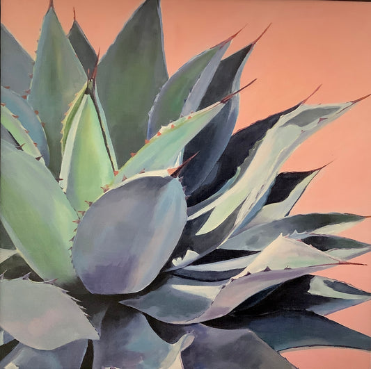 Agave by Alana Clumeck for Stupell Home Decor - framed print on board