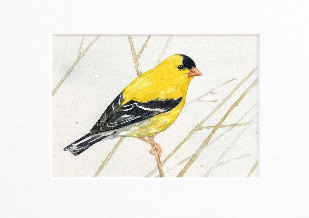 Goldfinch Print, Bird Watercolor Painting Wall Art