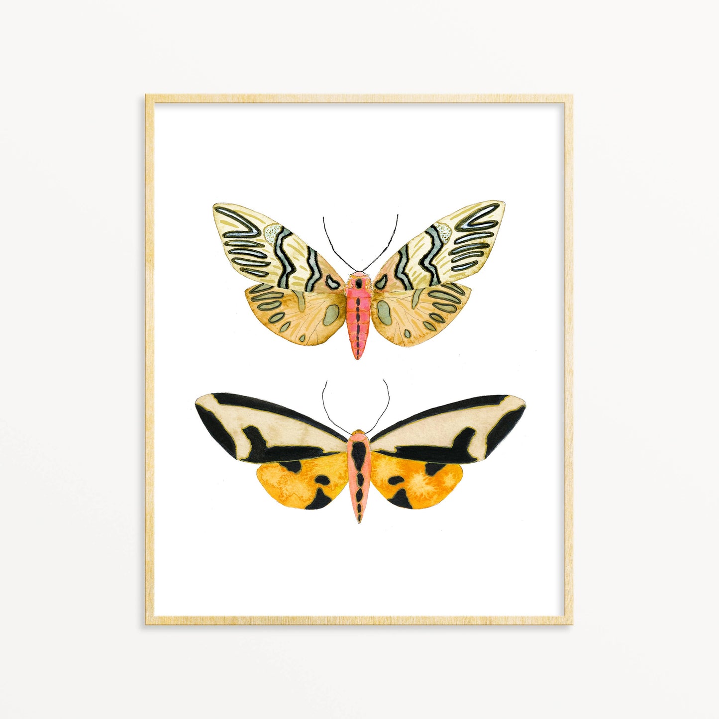 2 Moths #3 - 5” x 7”